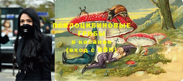 крисы Горно-Алтайск
