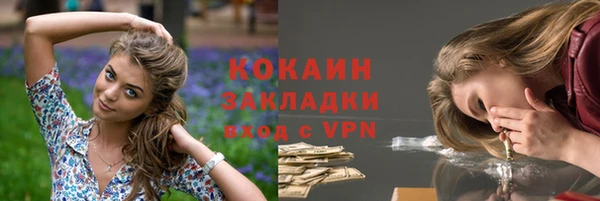 прущие грибы Горняк