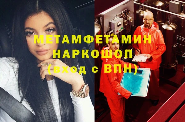 прущие грибы Горняк