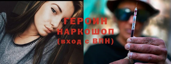 прущие грибы Горняк