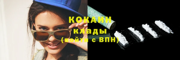 прущие грибы Горняк