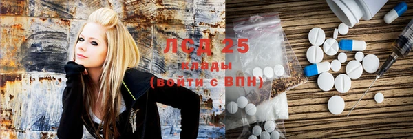 прущие грибы Горняк