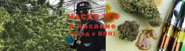 прущие грибы Горняк