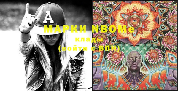 прущие грибы Горняк