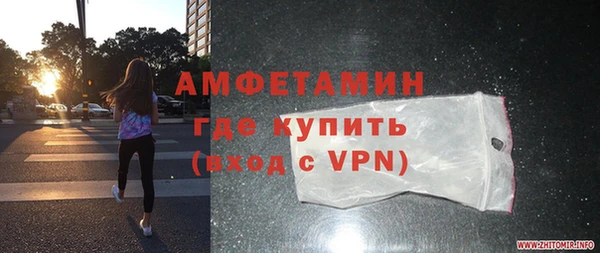 гидра Гусь-Хрустальный