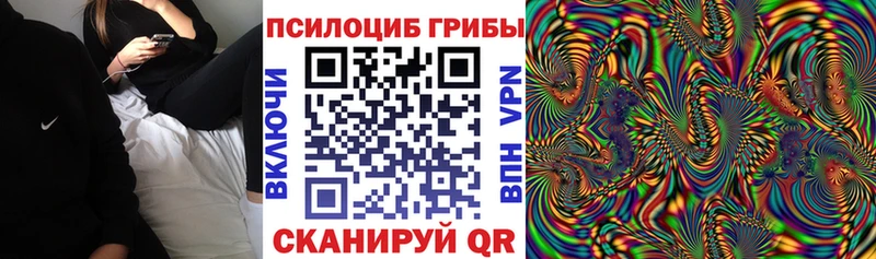 Псилоцибиновые грибы Magic Shrooms  Ефремов 